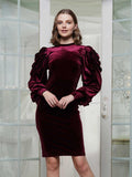 Why Dress D210036 wine velvet dress